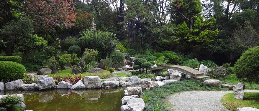 Teich im Japan Garten