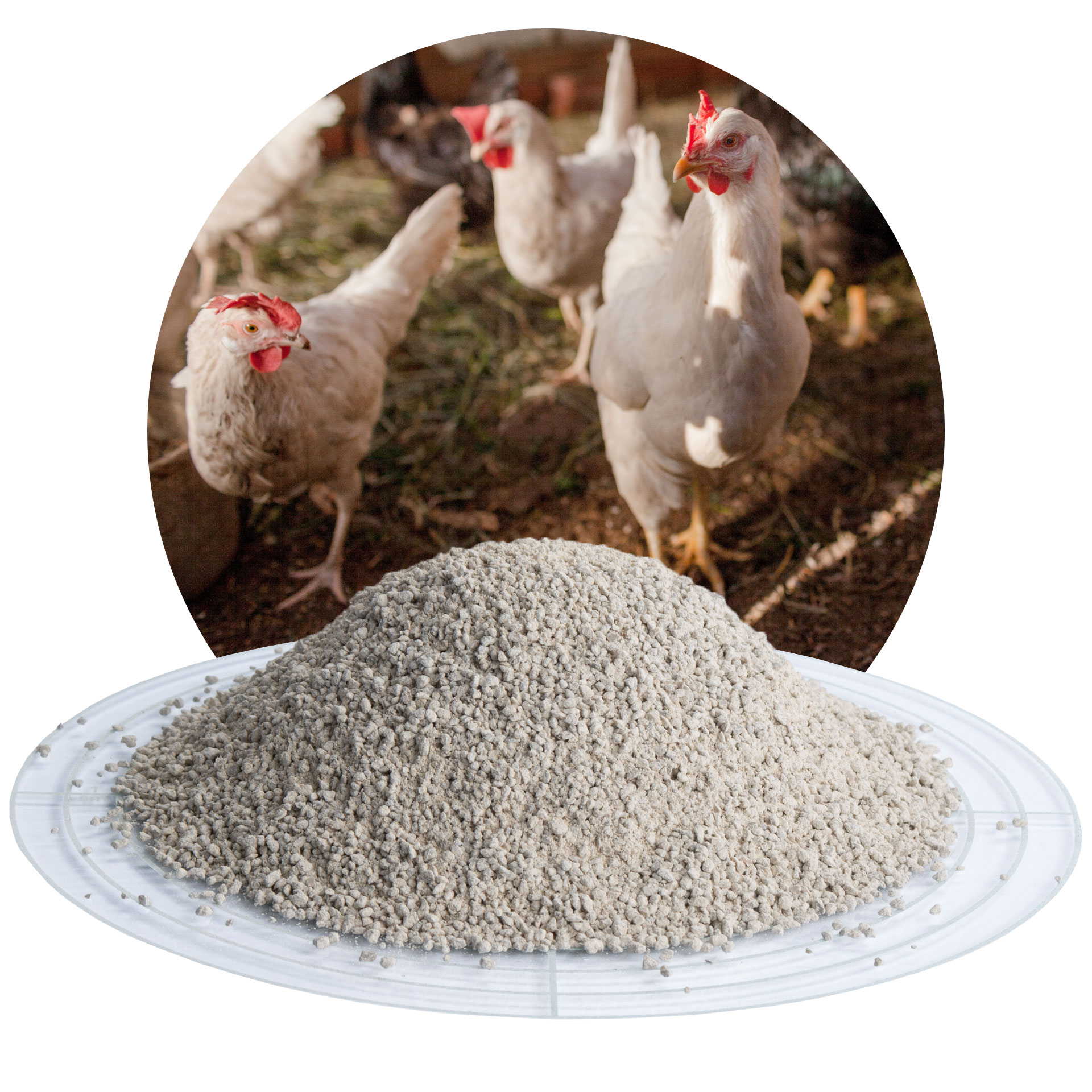 BVT Futterkalk für Geflügel Hühner Tauben und Vögel mit Vitaminen 5 kg rot